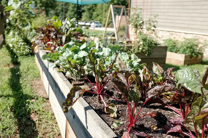 comment faire un potager sureleve dans le jardin