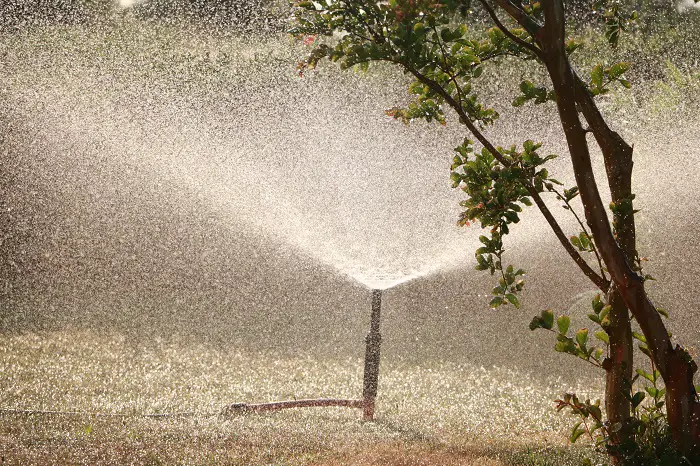 humidifier le sol pour une terre plus souple