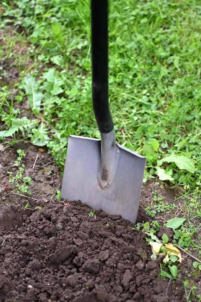 la pelle pour retourner la terre du jardin