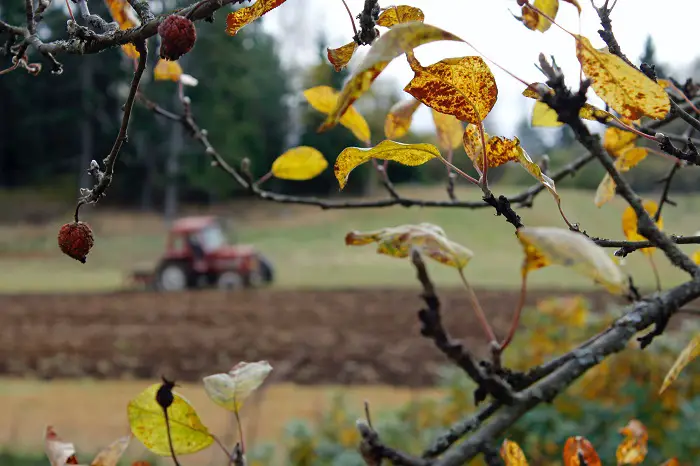 labourer son jardin a l automne