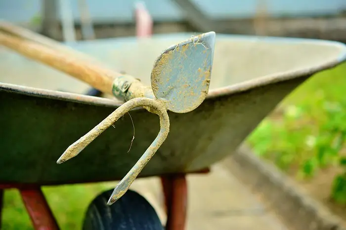 utiliser une serfouette ou binette pour le jardin