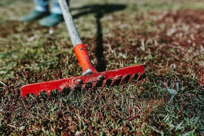 bien utiliser un rateau dans son jardin potager