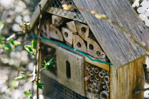 creer une maison pour abeilles