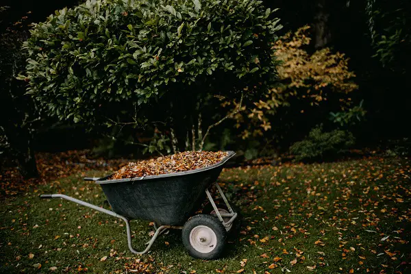 desherber son jardin facilement avec des outils a manche long