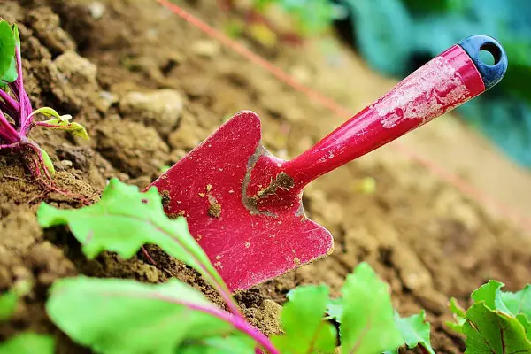 acheter un transplantoir pour son potager