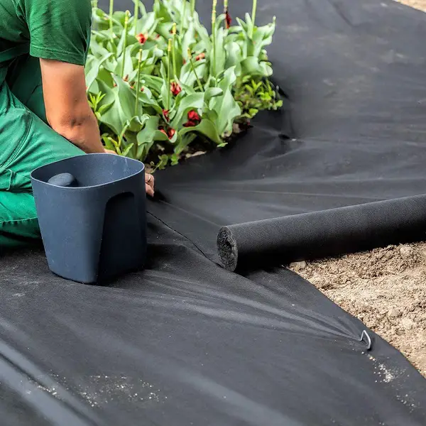 couvrir les mauvaises herbes