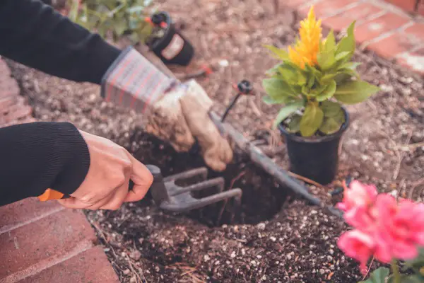 bien choisir ses gants de jardinage