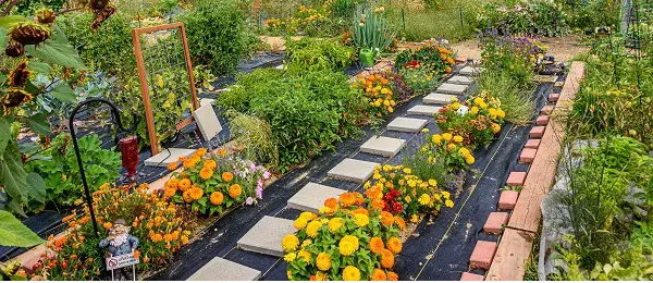 comment utiliser toile de paillage laquelle choisir pour son jardin