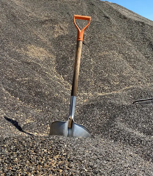 beche avec manche en forme de d preparer le sol du jardin