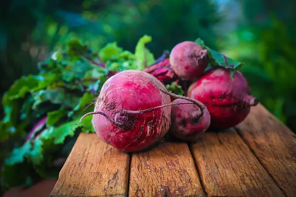 comment quand planter les betteraves