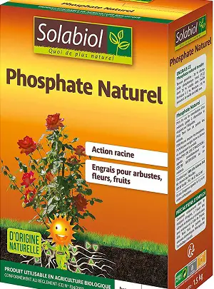 phosphate naturel engrais plante naturel