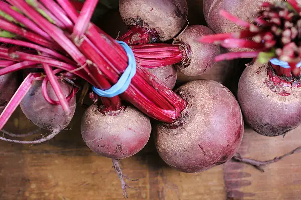 quand planter les betteraves rouges dans le potager