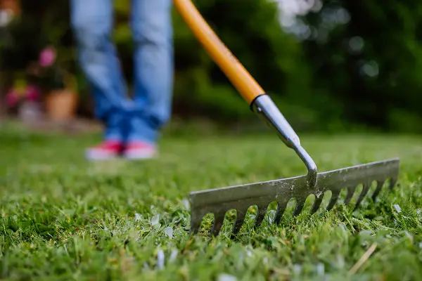 rateau pour applatir le sol et le preparer