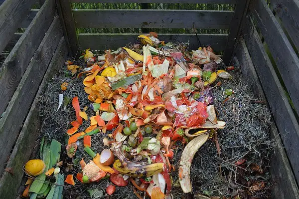 utiliser le compost comme engrais naturel