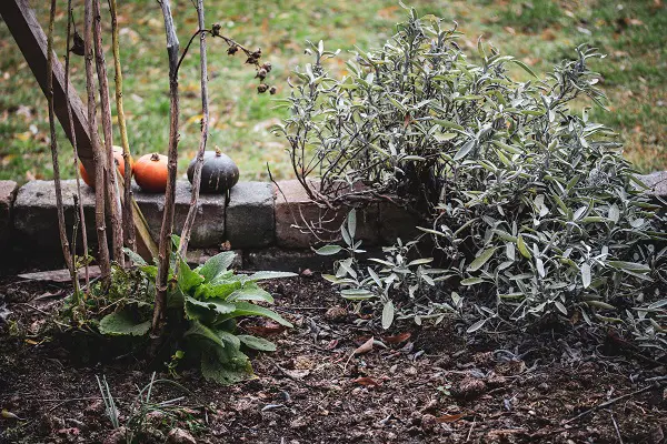 alleger la terre du jardin avec du sable