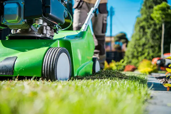 quel outil utiliser pour scarifier la pelouse