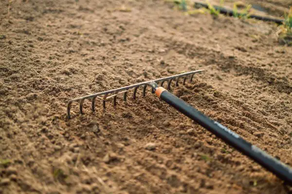 comment bien choisir un rateau de jardinage