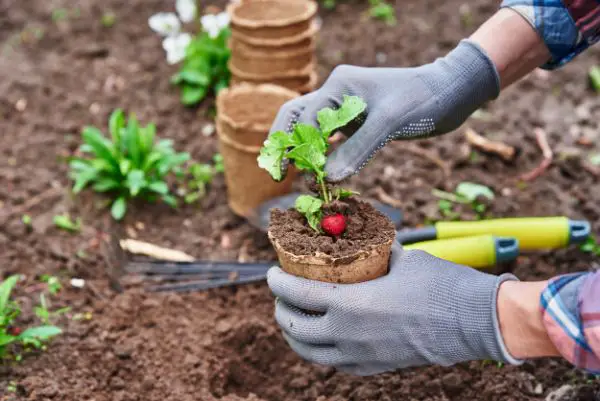 preparer la terre de son jardin pour semer ou planter