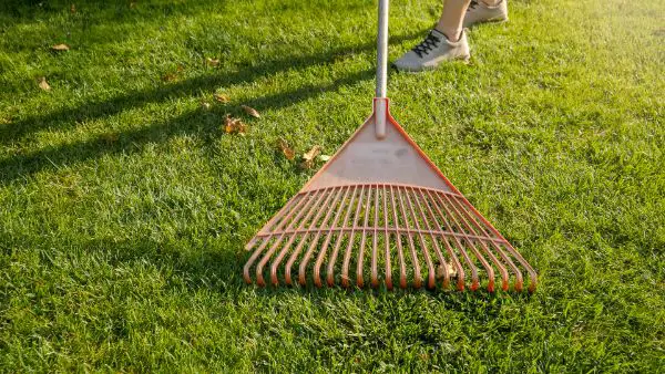 rateau pour ramasser les feuilles dans son jardin