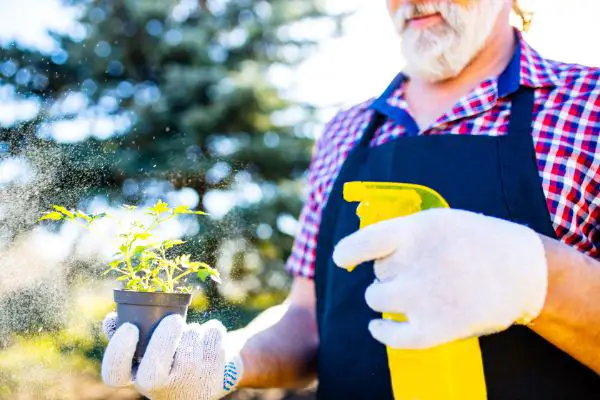 bicarbonate de soude et vinaigre blanc pour le jardin