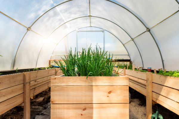 fabriquer sa propre serre de jardin