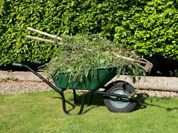 comment faire pour que les mauvaises herbes ne repoussent plus