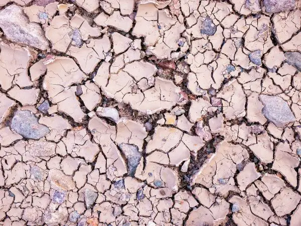 comment rendre une terre plus légère