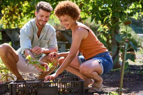 que planter en juin au potager