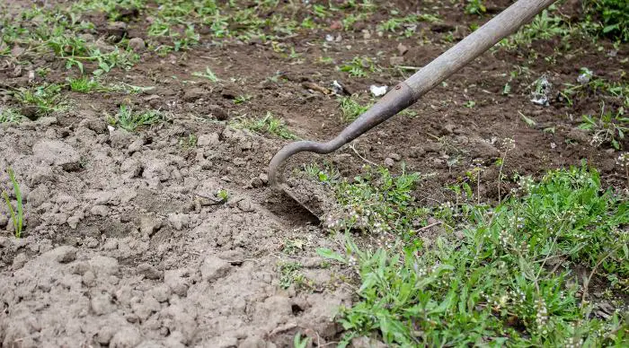 quelle période pour retourner la terre de son jardin