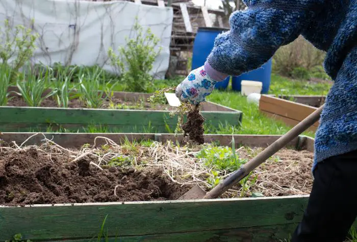 retourner la terre potager dans un bac en bois