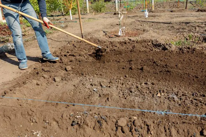 retourner la terre potager pleine terre