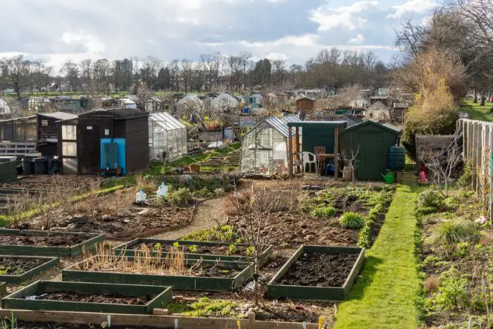 comment préparer son jardin au mois de février
