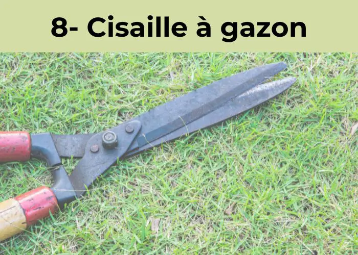 cisaille a gazon outils de jardinage manuels pour le jardin