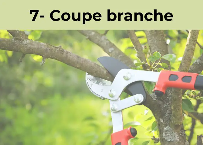 coupe branches outils de jardinage manuels pour le jardin