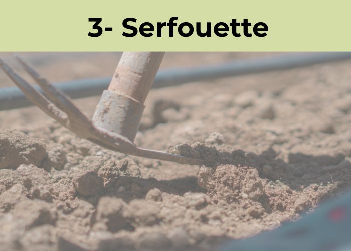 serfouette outils de jardinage manuels pour le jardin