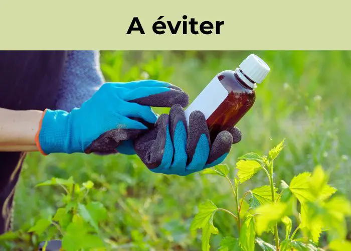 ce qu’il ne faut surtout pas faire pour attirer les pollinisateurs