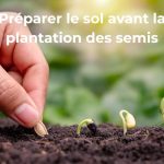 préparer le sol pour la plantation des semis