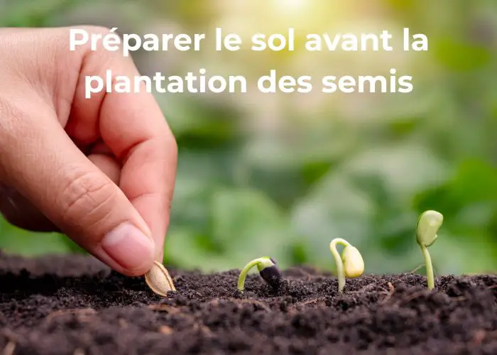 préparer le sol pour la plantation des semis