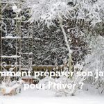 comment préparer son jardin pour l’hiver