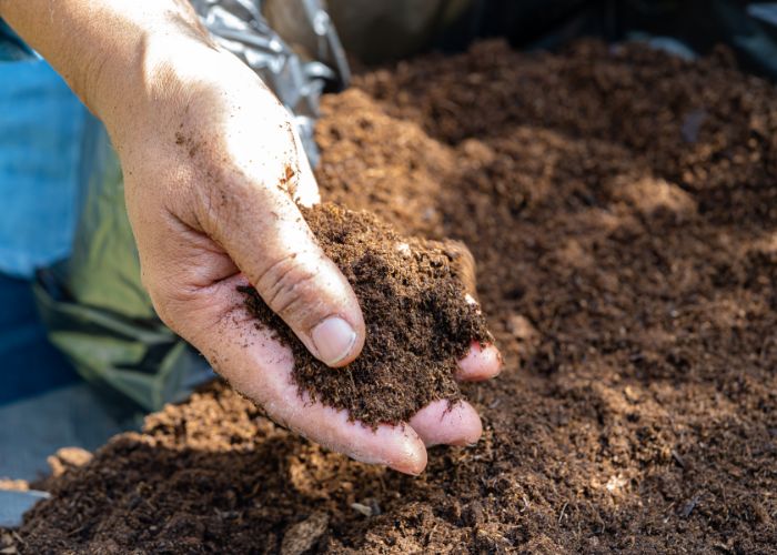profitez de l’automne pour nourrir le sol